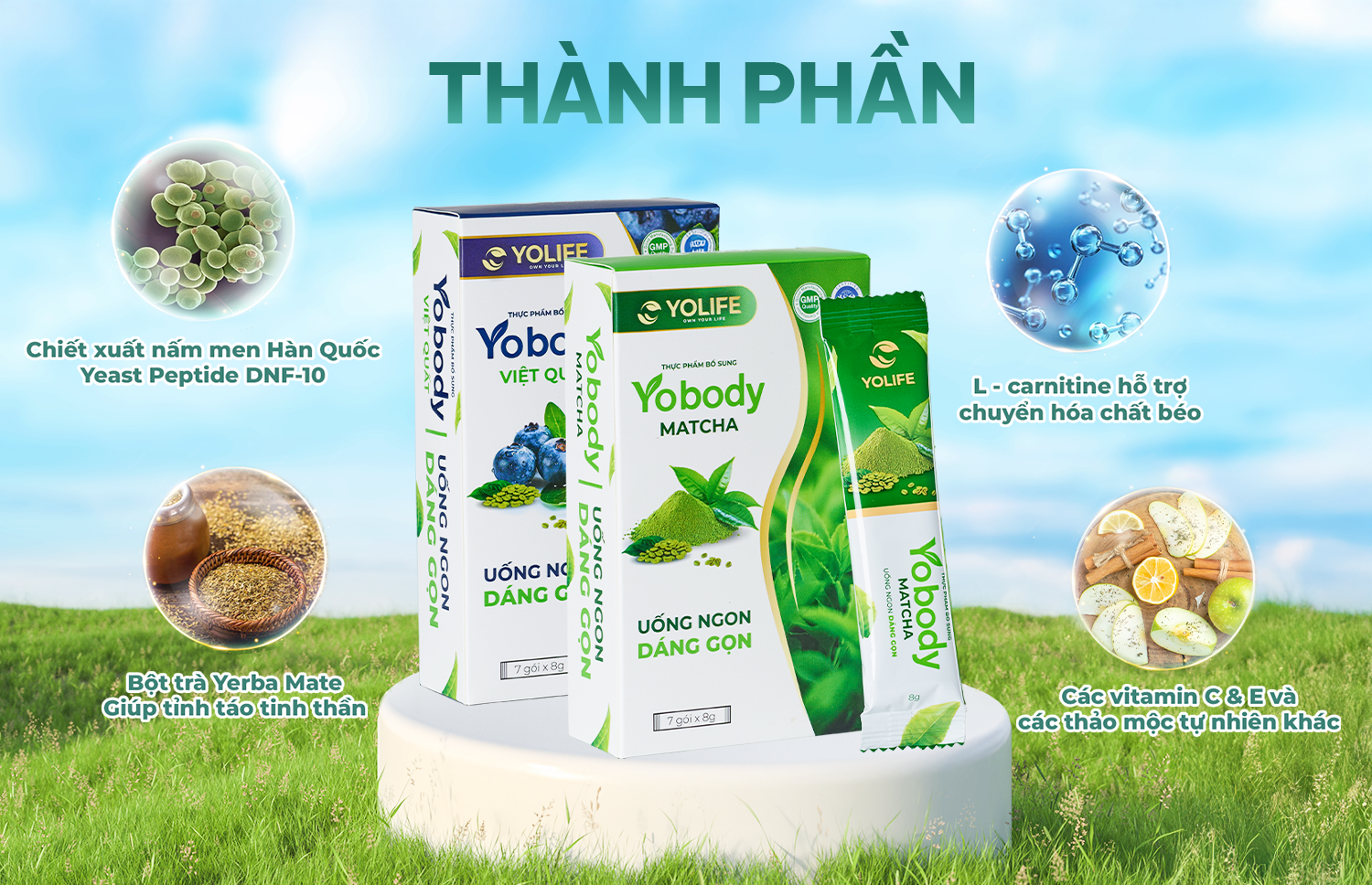 thanh phan 1