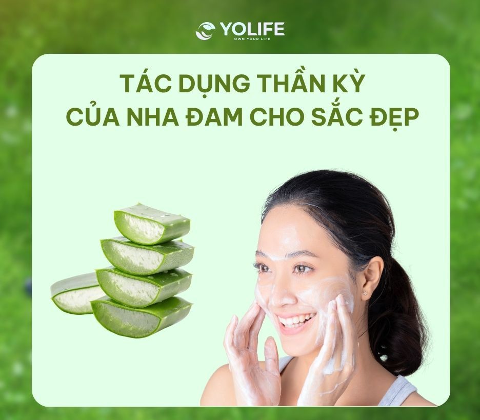 Lợi ích của nha đam
