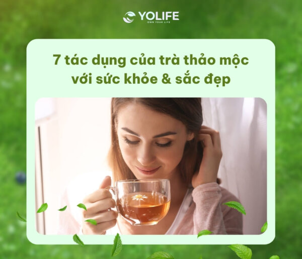 7 tác dụng của trà thảo mộc với sức khỏe & sắc đẹp 11 Tác dụng của trà thảo mộc