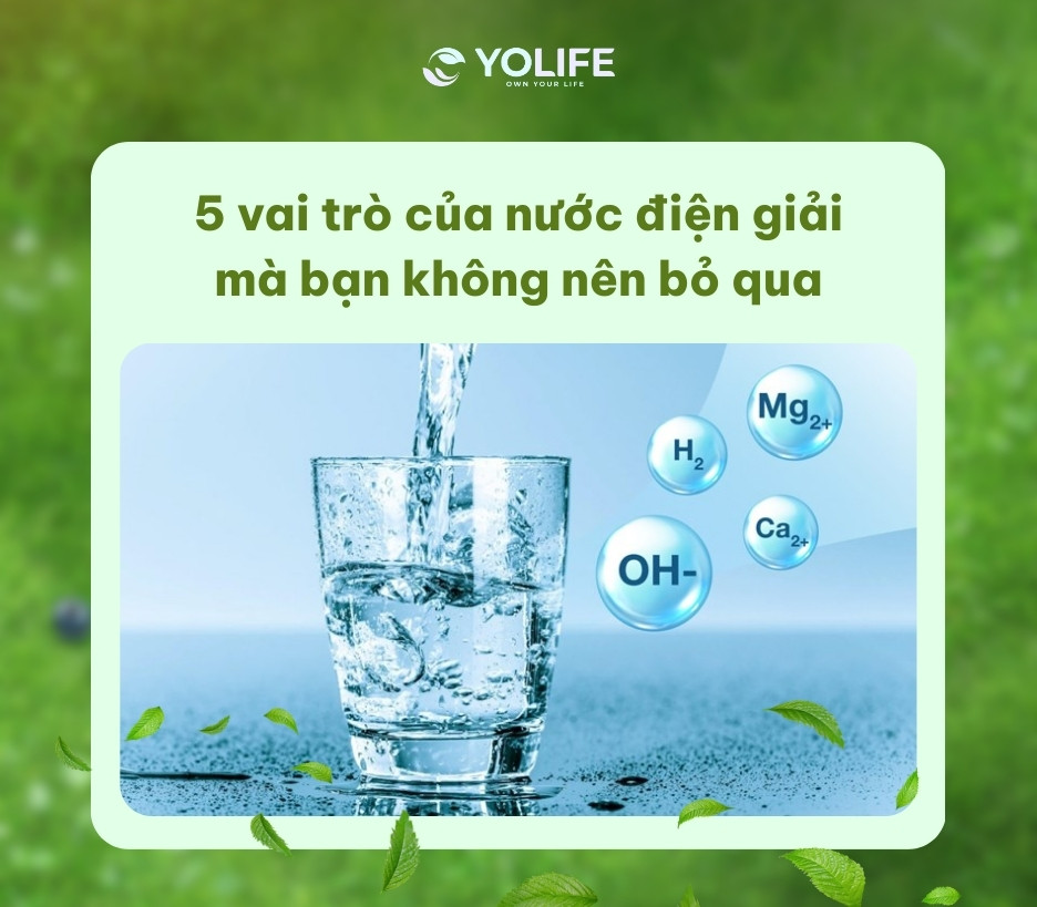 Vai trò của nước điện giải