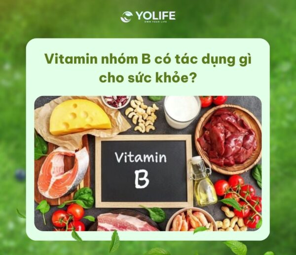 Vitamin nhóm B có tác dụng gì